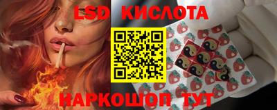 СК Гай