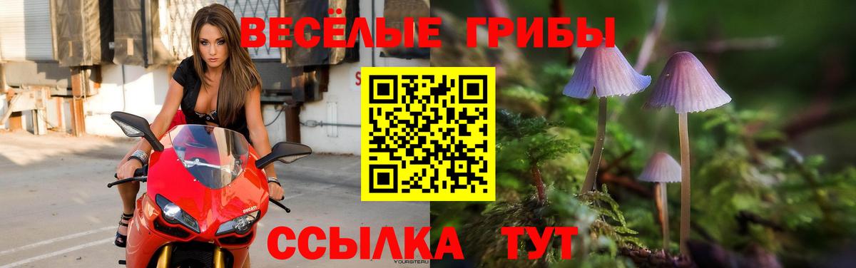 Мурино  Галлюциногенные грибы Magic Shrooms  Вход с VPN 